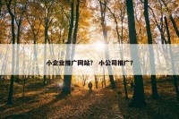 小企业推广网站？ 小公司推广？