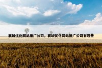 襄城优化网站推广公司，襄城优化网站推广公司有哪些
