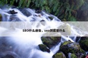 SEO什么通俗，seo到底是什么