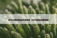 济宁口碑好网站开发费用（济宁网站运营策略）