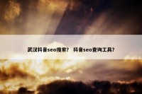 武汉抖音seo搜索？ 抖音seo查询工具？