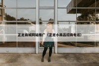 正定商城网站推广（正定小商品招商电话）