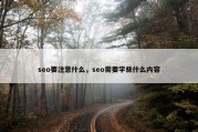 seo要注意什么，seo需要学些什么内容
