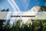 微信营销策略（微信营销策略研究）