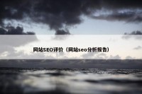 网站SEO评价（网站seo分析报告）