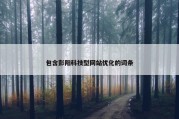 包含彭阳科技型网站优化的词条