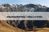 石嘴山网站定制开发建设（石嘴山2020年项目）