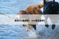 英文seo实战派？ seo英文全拼？