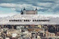 山东网站优化厂家排名？ 山东企业网站优化？