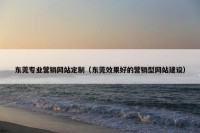 东莞专业营销网站定制（东莞效果好的营销型网站建设）