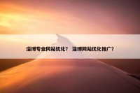 淄博专业网站优化？ 淄博网站优化推广？
