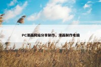 PC漫画网站分享制作，漫画制作电脑
