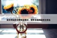 新乡网站优化哪家正规点，新乡百度网站优化排名