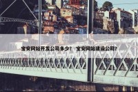 宝安网站开发公司多少？ 宝安网站建设公司？