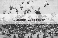 seo查询费用？ seo价格查询公司？