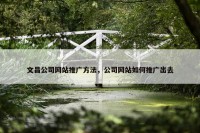 文昌公司网站推广方法，公司网站如何推广出去