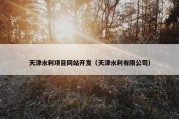 天津水利项目网站开发（天津水利有限公司）