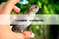 4399站建设？ 4399网站介绍？