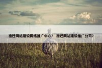 宿迁网站建设网络推广中心？ 宿迁网站建设推广公司？