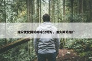 淮安优化网站哪家公司好，淮安网站推广