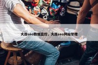 大连seo数据监控，大连seo网站管理