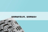 延安网站开发公司，延安网站设计
