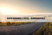 苏州专业网站制作二次开发，苏州网站制作设计