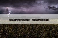 潍坊网站定制优势在哪？ 潍坊购物网站制作？