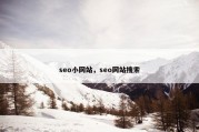 seo小网站，seo网站搜索