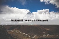 做优化送网站，优化网站公司哪家口碑好