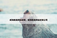 威海精美网站定制，威海精美网站定制公司