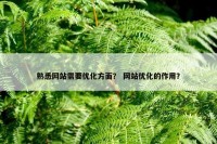 熟悉网站需要优化方面？ 网站优化的作用？