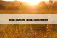 抚顺行业网站开发（抚顺行业网站开发招聘）