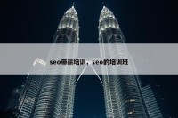 seo带薪培训，seo的培训班