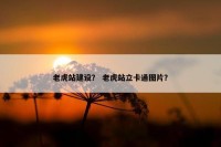 老虎站建设？ 老虎站立卡通图片？