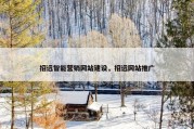 招远智能营销网站建设，招远网站推广