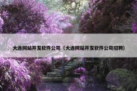 大连网站开发软件公司（大连网站开发软件公司招聘）