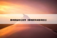 泰州网站优化软件（泰州网页关键词优化）
