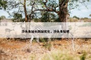 沙头角站长网站优化，沙头角贴吧