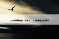 辽宁网站优化厂家报价，沈阳网站优化常识