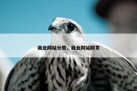 商业网站分类，商业网站网页