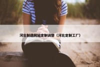 河北制造网站定制调整（河北定制工厂）