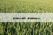 亚马逊seo细节，亚马逊站内seo