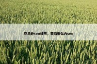 亚马逊seo细节，亚马逊站内seo