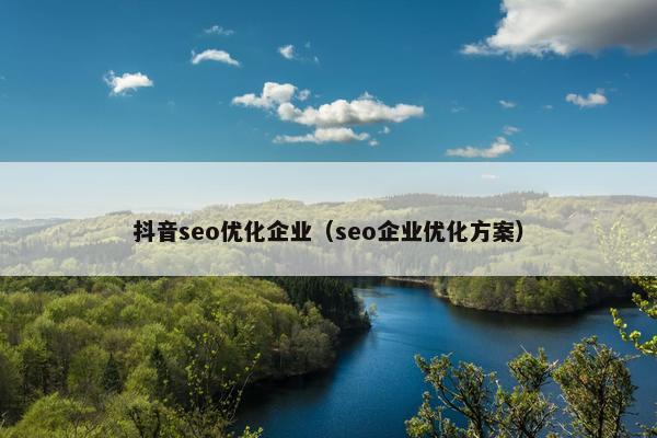 抖音seo优化企业（seo企业优化方案）