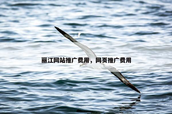 丽江网站推广费用，网页推广费用