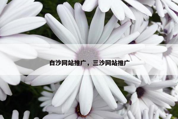 白沙网站推广，三沙网站推广