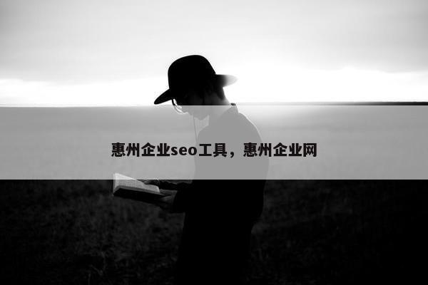 惠州企业seo工具，惠州企业网