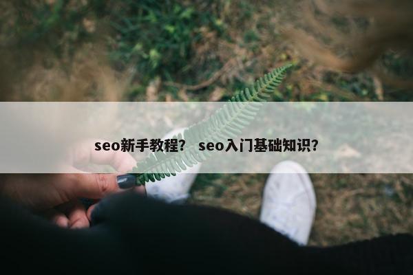 seo新手教程？ seo入门基础知识？