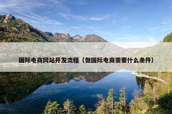 国际电商网站开发流程（做国际电商需要什么条件）